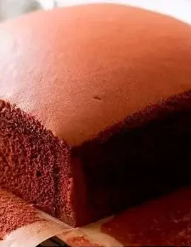 castella chocolate cake