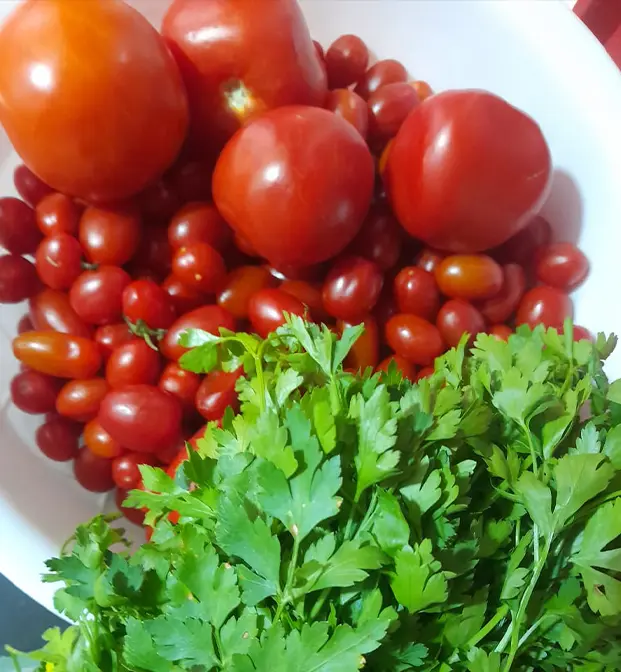 Receta de tomate